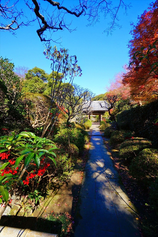 1076_鎌倉円覚寺_神奈川