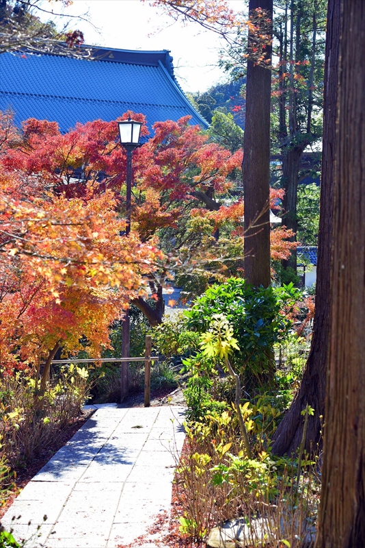 1080_鎌倉円覚寺_神奈川