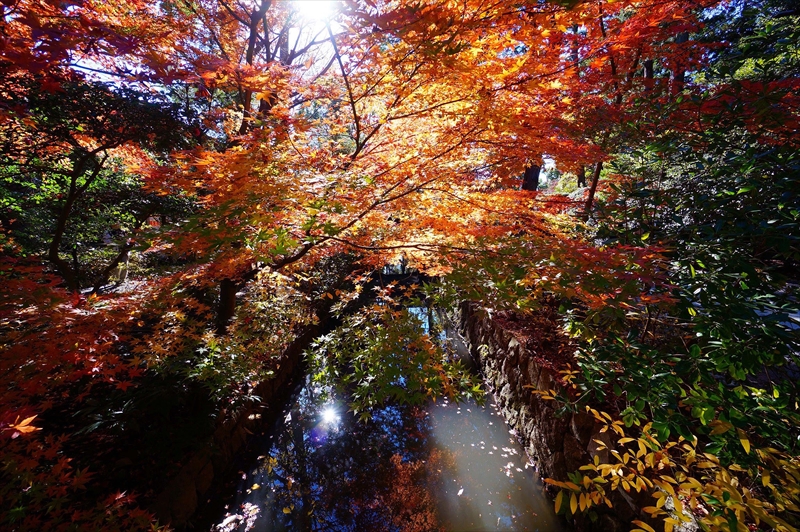1101_鎌倉円覚寺_神奈川