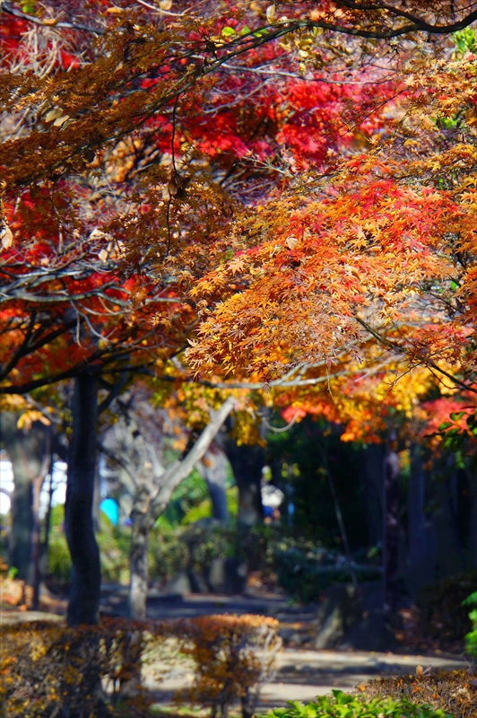 1139__横浜市新羽町_神奈川