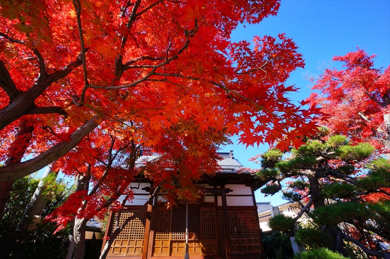 1035_米沢市茂林寺_山形