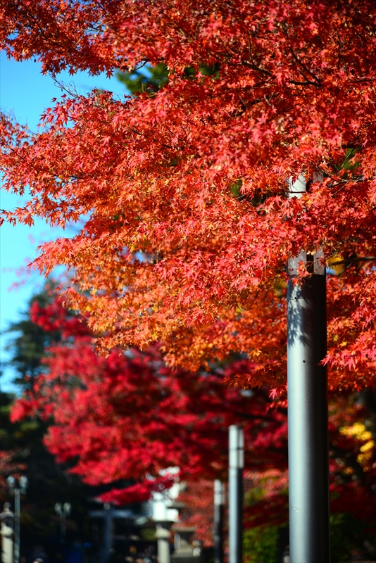 1045_上杉神社_山形