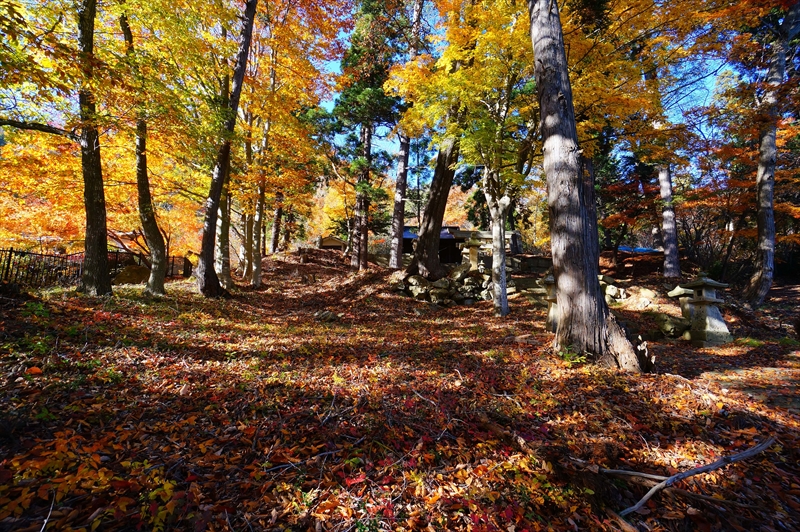1001_南陽市_山形