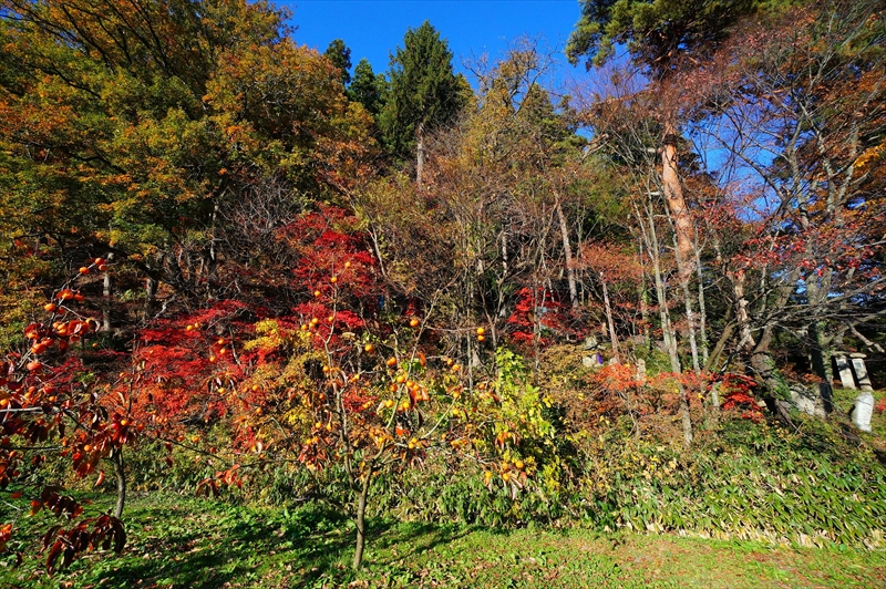 1002_南陽市_山形