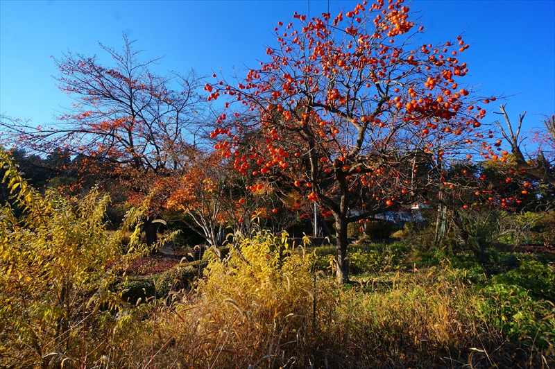 1034_上山市高松観音_山形