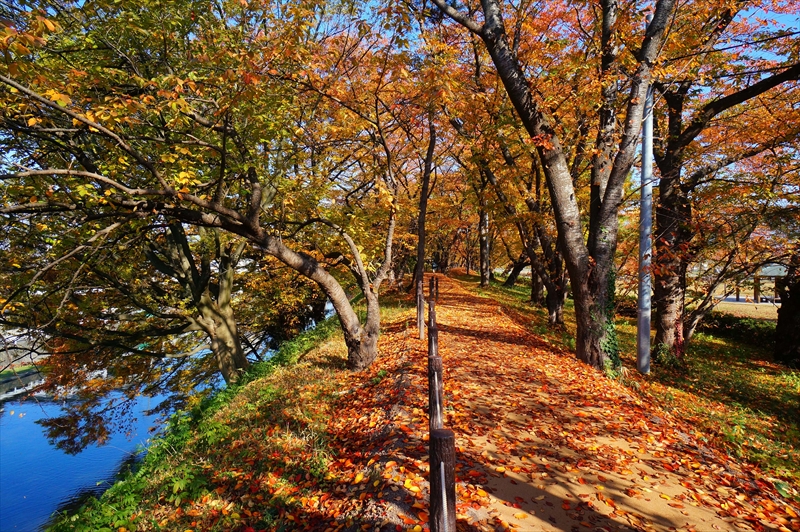 1017_霞城公園_山形