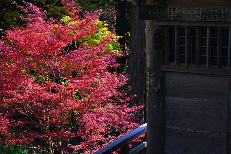 1009_宝珠山 立石寺（山寺）_山形