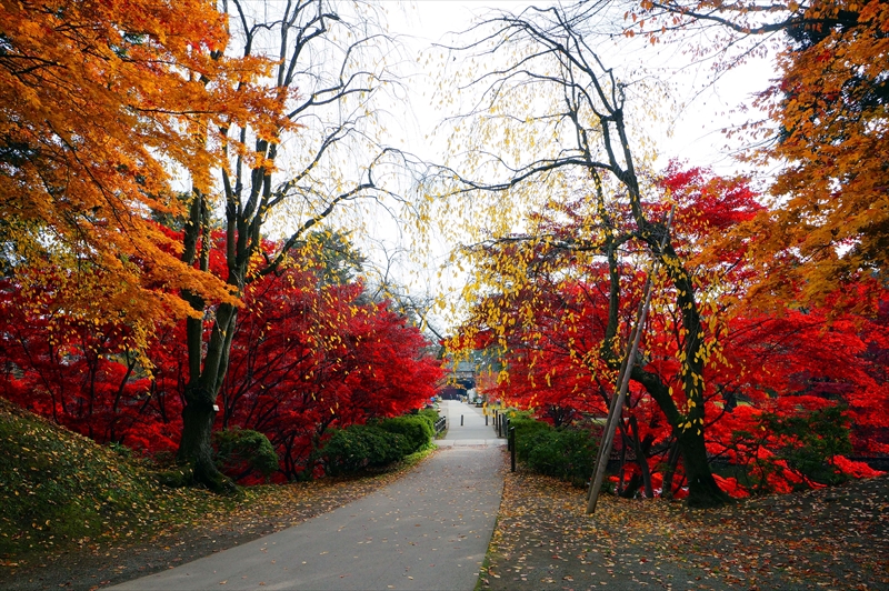 1010_弘前公園_青森