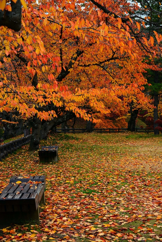 1014_弘前公園_青森