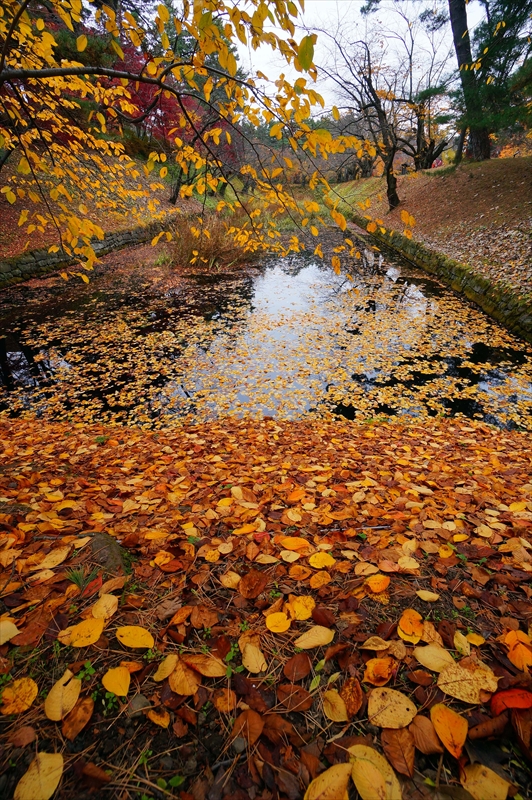 1017_弘前公園_青森
