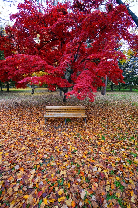 1018_弘前公園_青森