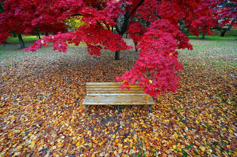 1021_弘前公園_青森