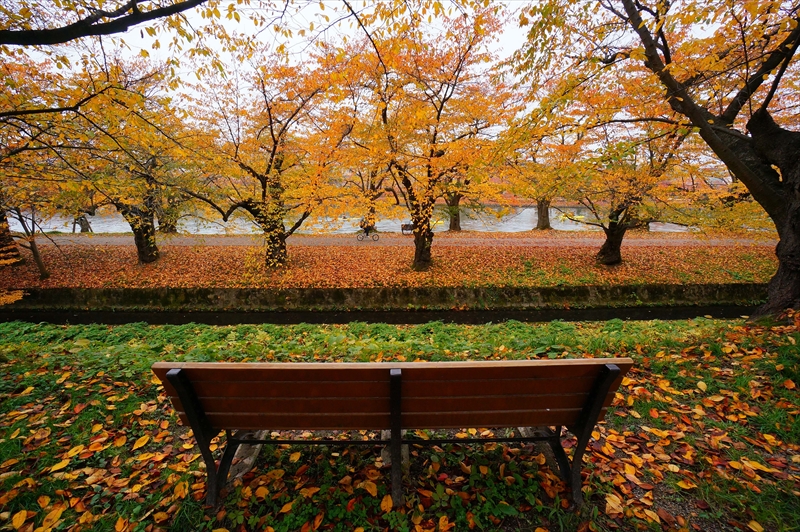 1023_弘前公園_青森