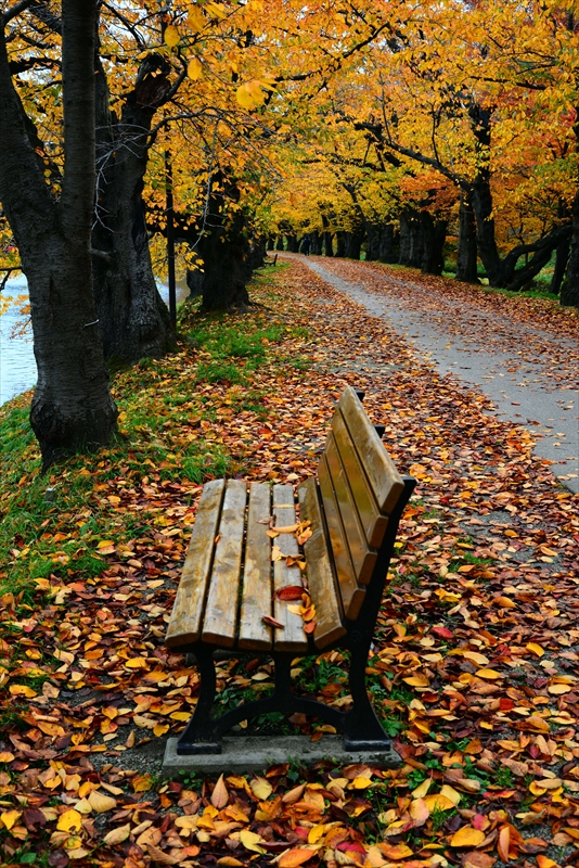 1035_弘前公園_青森