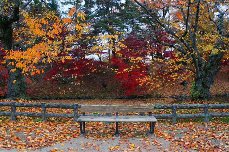 1039_弘前公園_青森