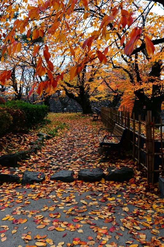 1041_弘前公園_青森
