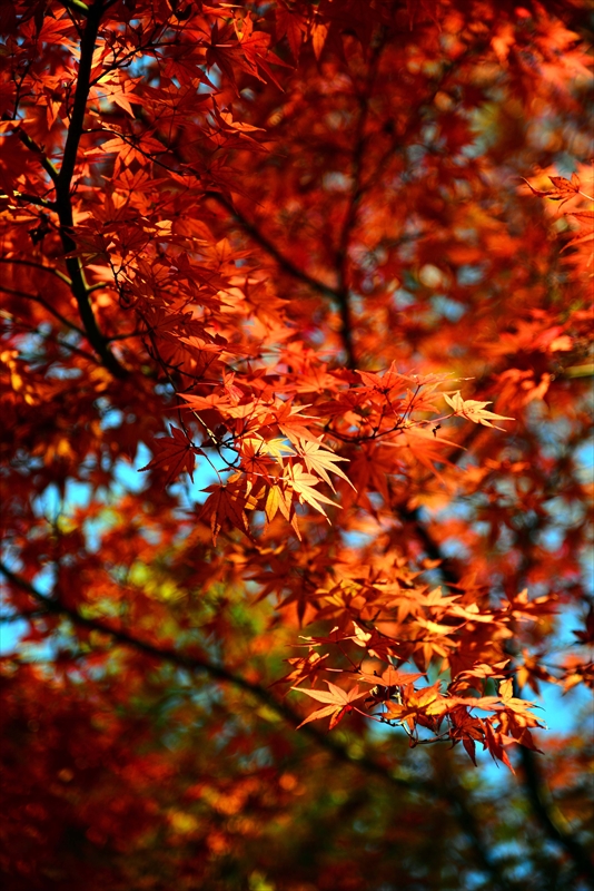 1143__横浜市新羽町_神奈川