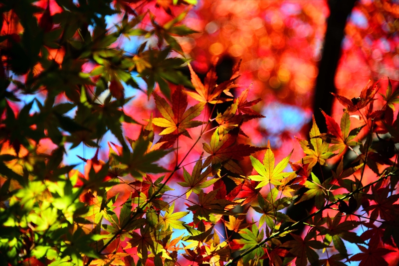 1148__横浜市新羽町_神奈川