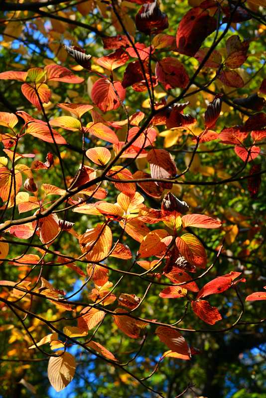 1150__横浜市新羽町_神奈川