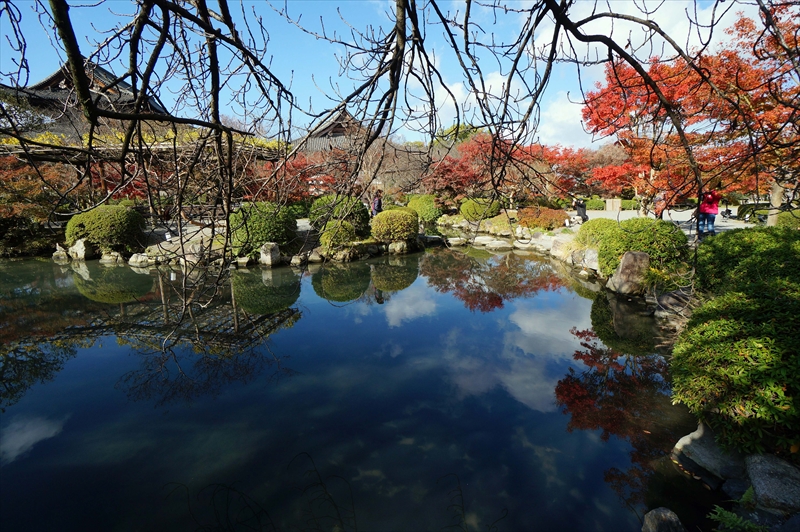 1115_洛中 東寺_京都