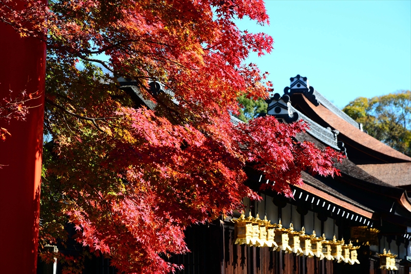 1081_洛北 下賀茂神社_京都