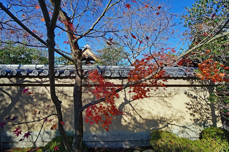 1060_洛北 大徳寺・芳春院_京都