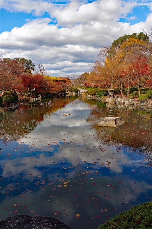 1118_洛中 東寺_京都