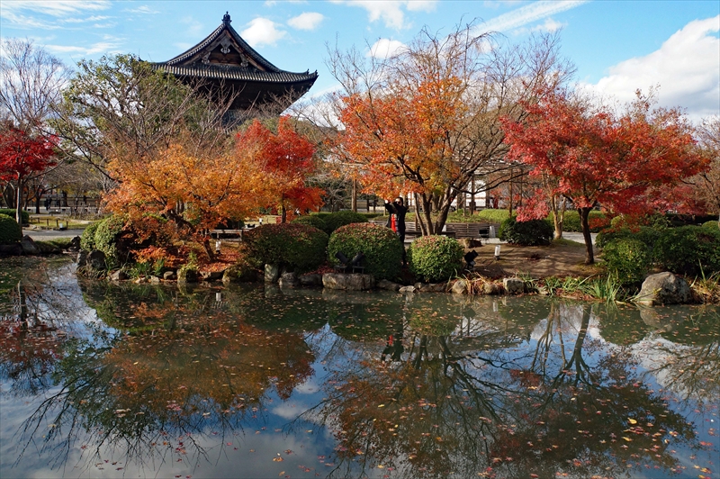 1119_洛中 東寺_京都