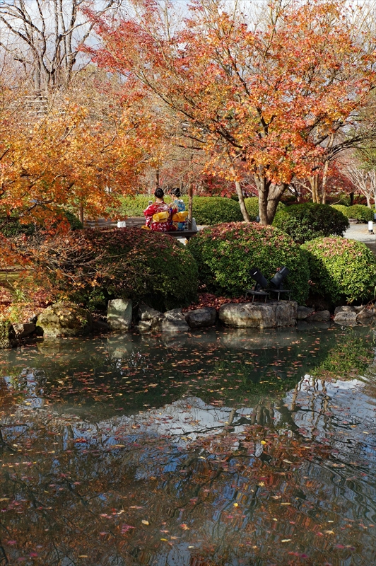 1123_洛中 東寺_京都