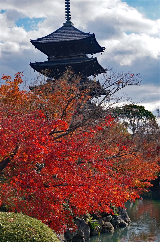 1127_洛中 東寺_京都