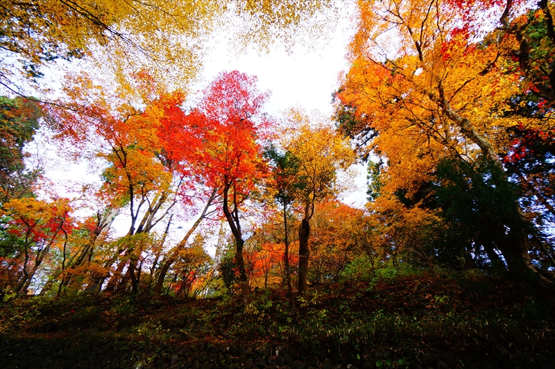 1005_日光東照宮_栃木