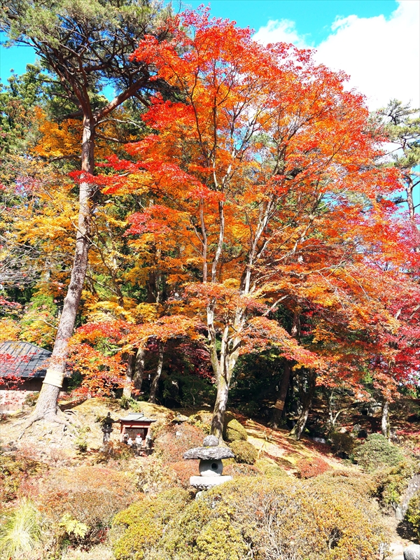 1016_日光山 輪王寺_栃木