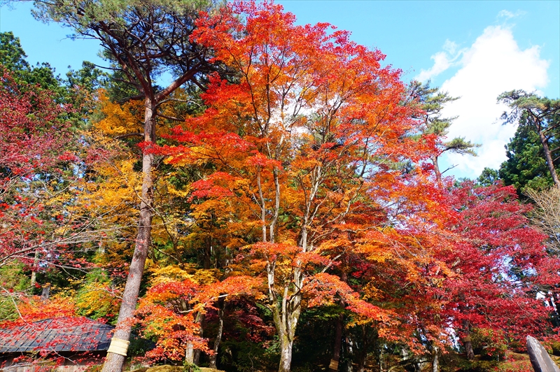 1019_日光山 輪王寺_栃木
