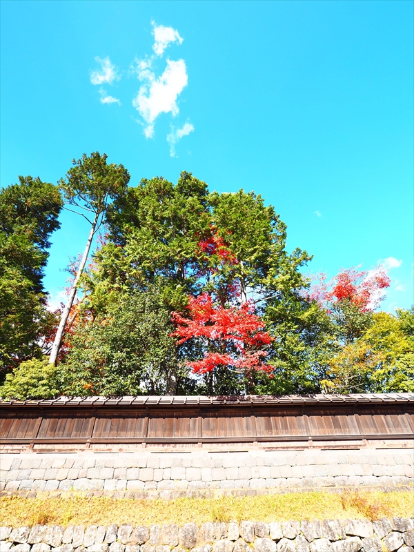 1002_日光市内_栃木