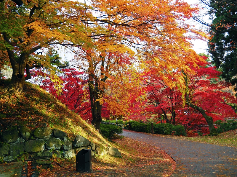 1064_弘前公園_青森