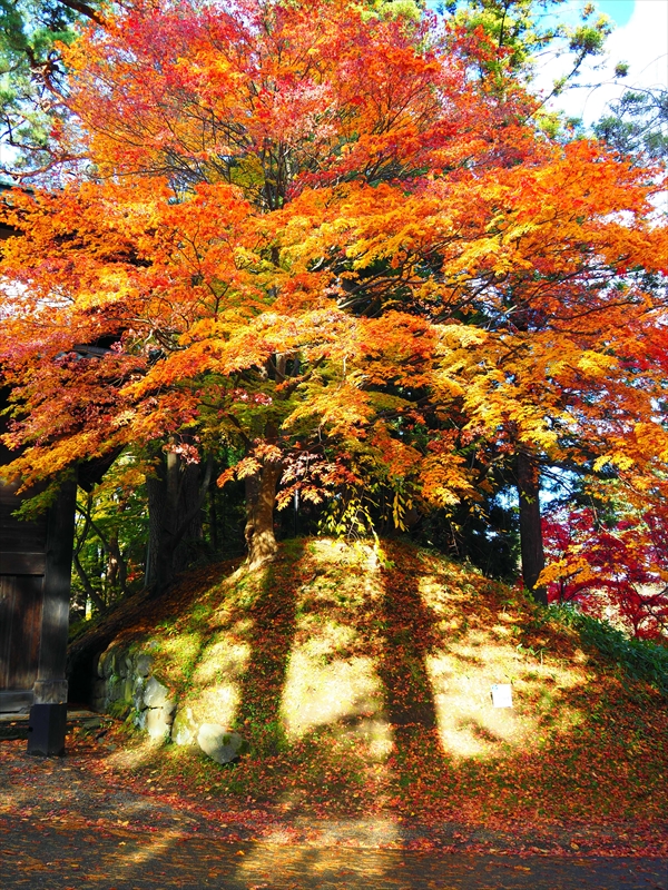 1065_弘前公園_青森