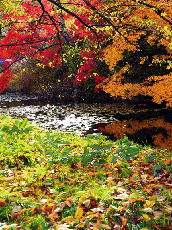 1068_弘前公園_青森