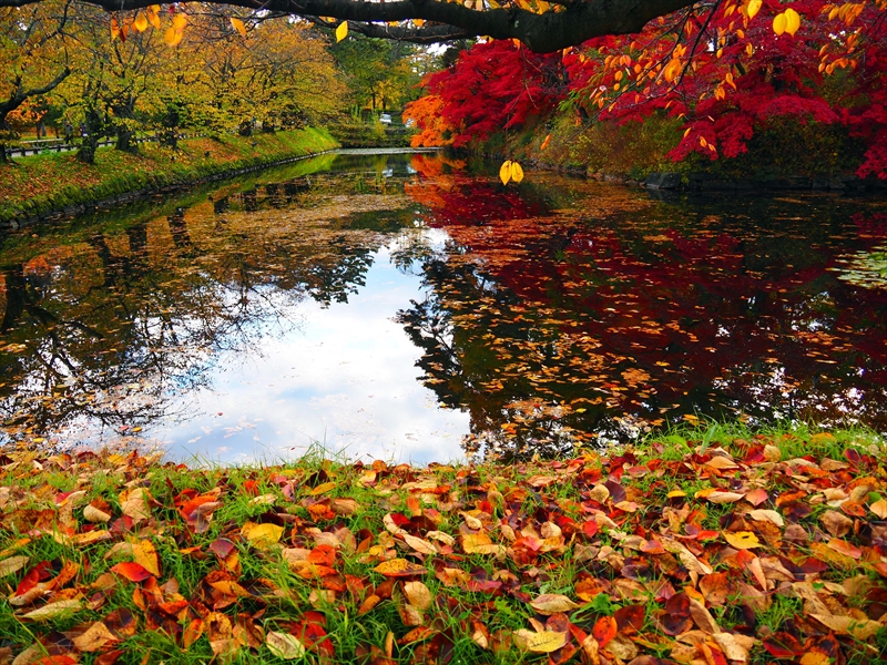 1070_弘前公園_青森