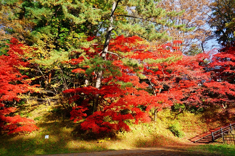 1076_弘前公園_青森