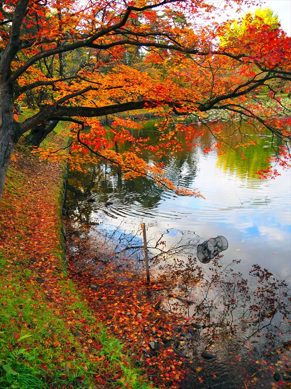 1081_弘前公園_青森