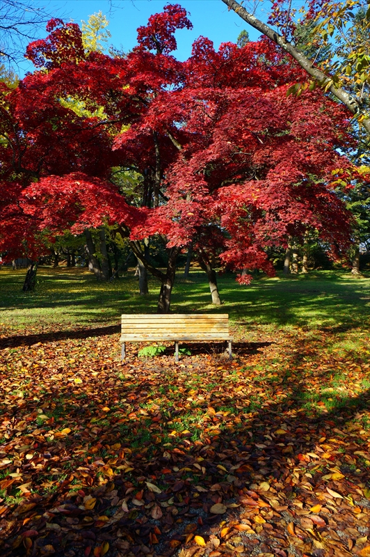 1088_弘前公園_青森