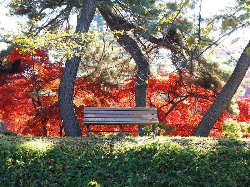 1090_弘前公園_青森