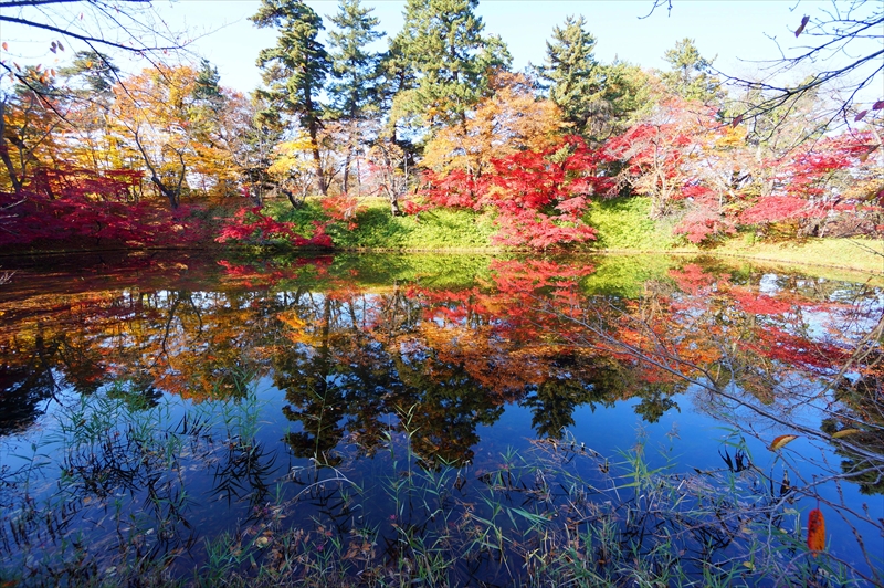 1095_弘前公園_青森