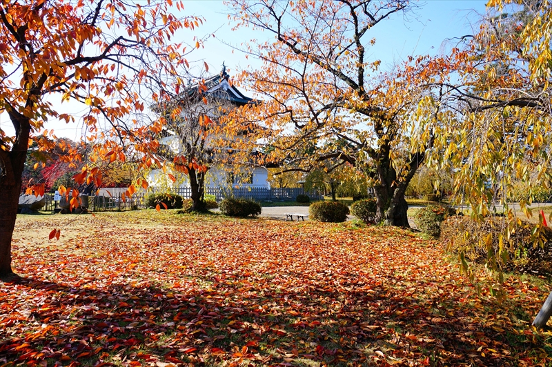 1103_弘前公園_青森