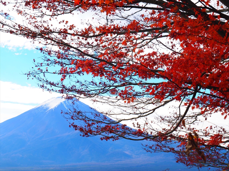 1001_河口湖_山梨