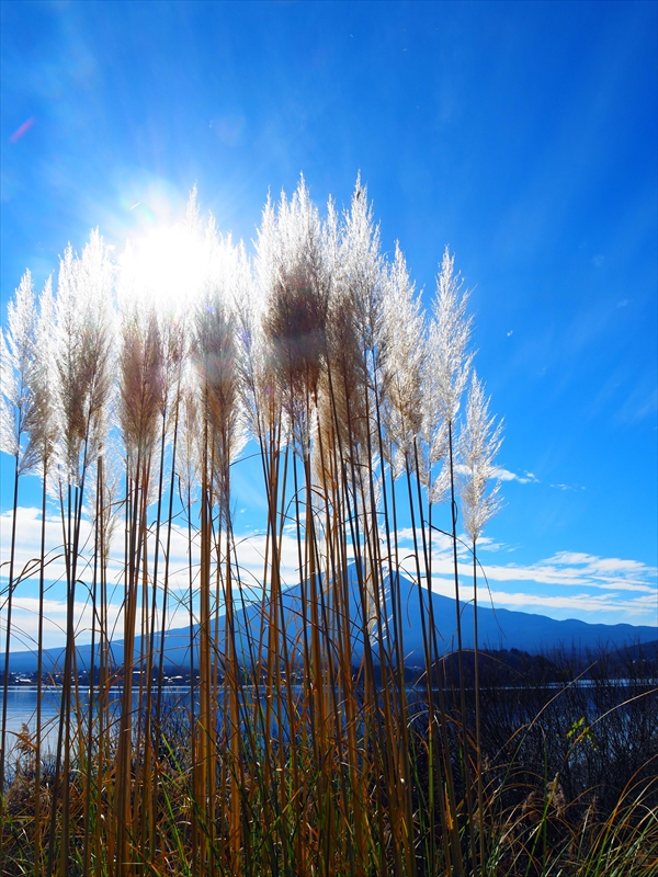 1009_河口湖_山梨