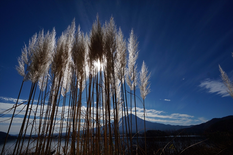1012_河口湖_山梨
