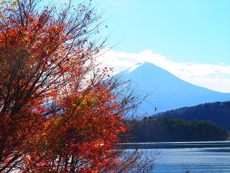 1013_河口湖_山梨