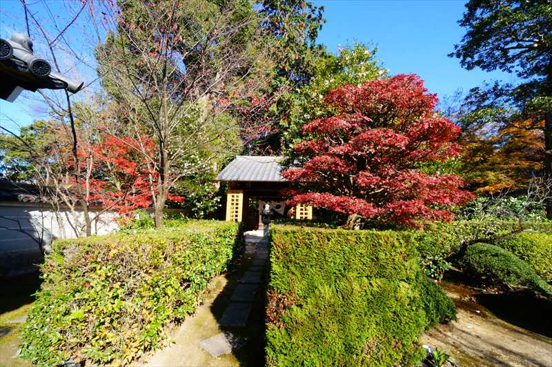1002_洛東 雲龍院_京都