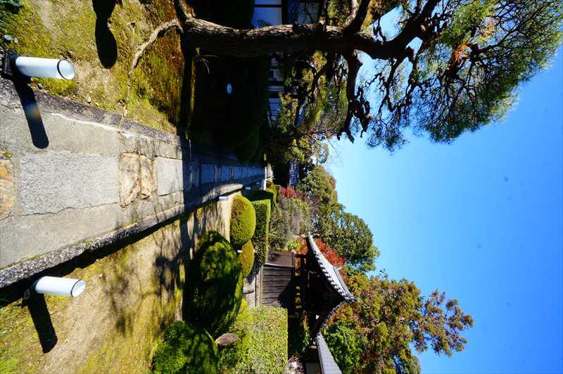 1003_洛東 雲龍院_京都